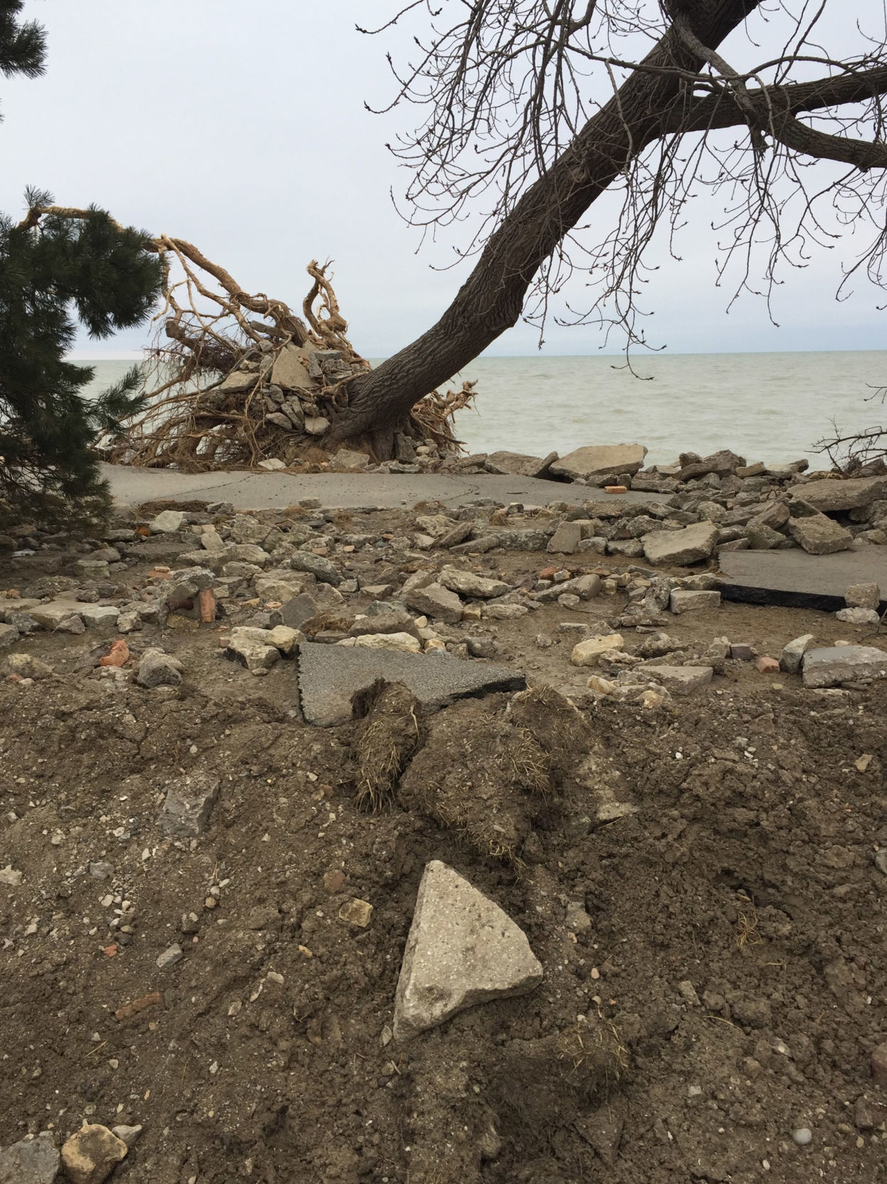 storm damage